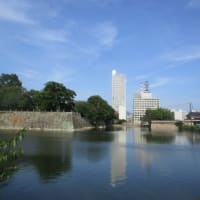 夏の広島城　猛暑日が続く広島の街・・・炎天下のもとのテクテク散歩は危険！熱中症や体調管理にお気をつけくださいね