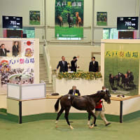 【八戸市場2023(Hachinohe Sale)】の「上場馬名簿」が公開(1歳馬44頭)