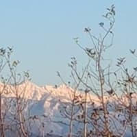 正気に戻った霜月