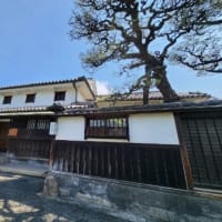 帰り道で寄り道～　2025/06/30