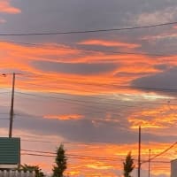 最高気温の日の夕焼け