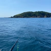 【浜田 オバセ波止】暇つぶし釣行