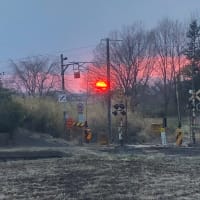 夕陽の色が…