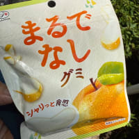 ありそうでない