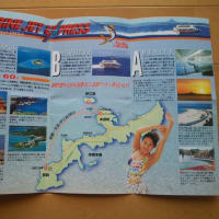 「1990年代の沖縄旅行　...」