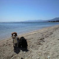 滋賀の旅～～琵琶湖へ