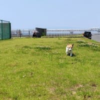 暑いですねぇ～