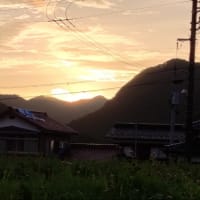今日のサンセット