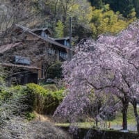 檜原村～あきる野市を回ってきました～～♪