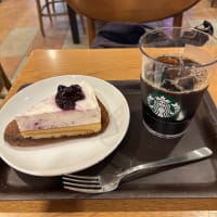 スターバックス〜ブルーベリーレアチーズケーキ〜