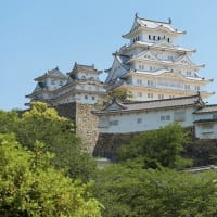 LA山火事で焼け残った物