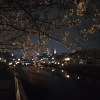 女のいない男たち　村上春樹著