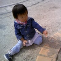 ありんこ