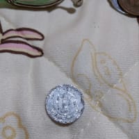 どんな姿でも、1円玉だ！！！！！
