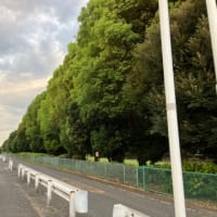 公園の 和式トイレに 落ち葉舞う