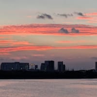 夕焼けと夏の大掃除