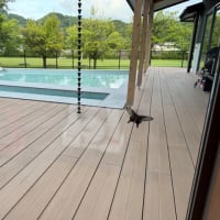 昨日の朝の別邸わんこ日和にて　アゲハ蝶