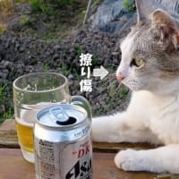 それぞれのお仕事…^^;