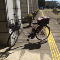 市役所入口脇の点字ブロックに危険な自転車が