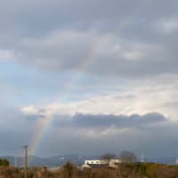 一瞬だけ現れた虹🌈🌈🌈
