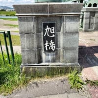 散歩🚶
