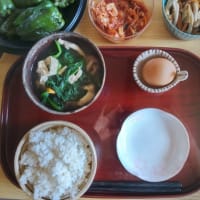 2025/06/29…朝食