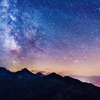 全員が協力し合わなければ、だれ一人としてもう生き残れない。
