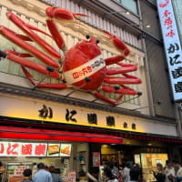 野球中止の後は…