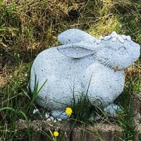 【白ウサギ神話世界から現代世界に帰還・・・】