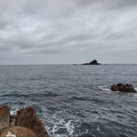 3月25日　戸賀沖磯:クロカラ~カモメのキイロ