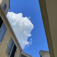天気の変化の予兆？
