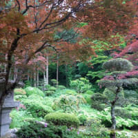 春の庭百景めぐり