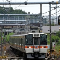 ＪＲ東海 垂井(2025.6.22) ３１１系 Ｇ１編成 普通 大垣行き 引退記念ＨＭ