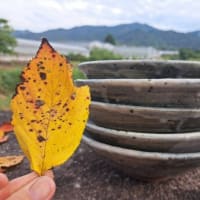 ～秋の紅葉と窯場展 2024～