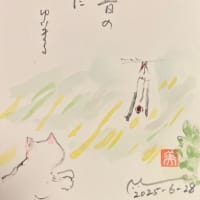 サーキュレーター