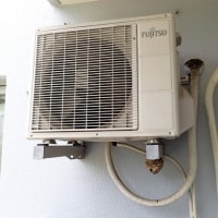 スズメバチの巣にご注意