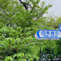 新緑の京都　〜   四条木屋町
