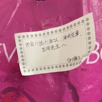 第26回新潟県空手道選手権大会結果とトーマス先生