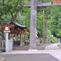日の長い夕方、境内です