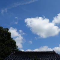 一雨欲しいと空を見上げるが・・・・！！