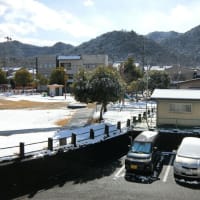 人生初の、４日連続だあ！
