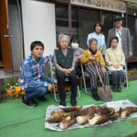 『竹の子掘り』に出かけました。