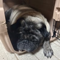人生の期限と機嫌