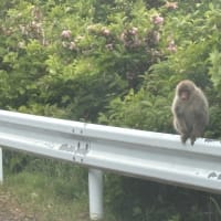 青森２０２５　１日目　その１