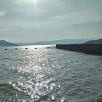 サンフレッチェ広島 ファン感謝祭