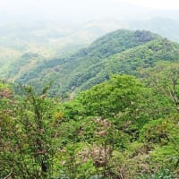 大出日山へ