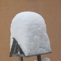 2015-お気に入りの一枚