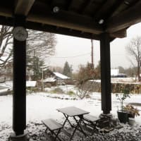 裏磐梯！花きりんの初雪！！