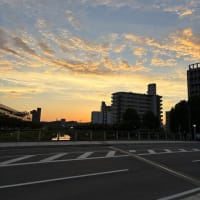学校帰り