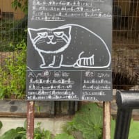 8月 北海道　11